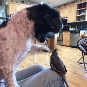 Meet your Posher, Lynn